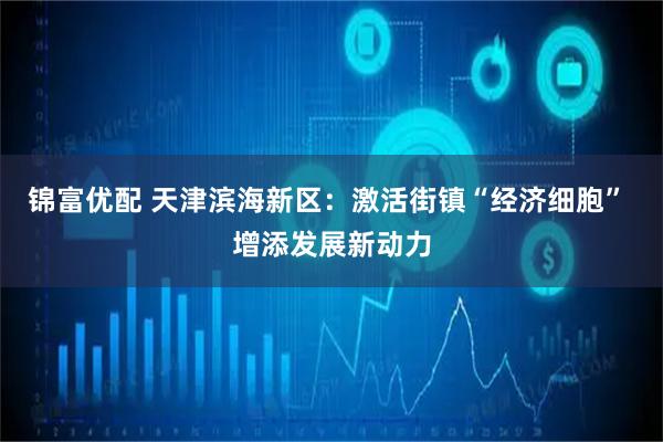 锦富优配 天津滨海新区：激活街镇“经济细胞” 增添发展新动力