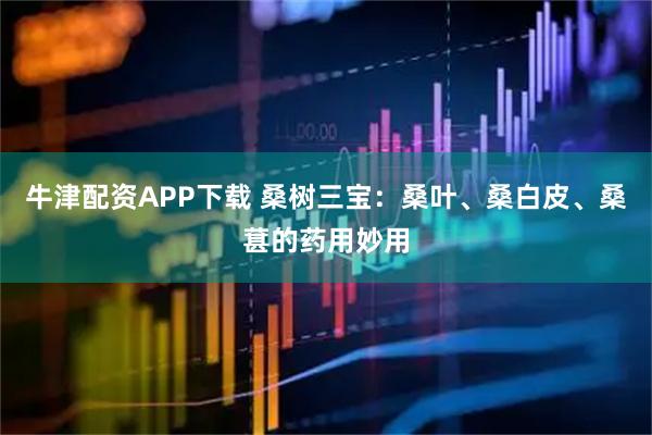 牛津配资APP下载 桑树三宝：桑叶、桑白皮、桑葚的药用妙用