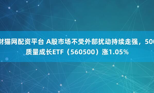 财猫网配资平台 A股市场不受外部扰动持续走强，500质量成长ETF（560500）涨1.05%